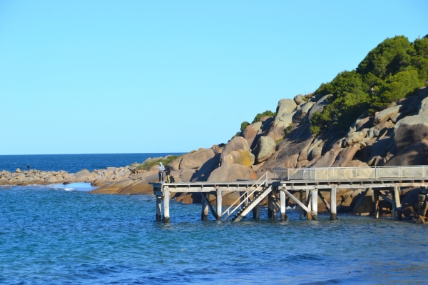 Zdjęcie z Australii - Molo w Horseshoe Bay