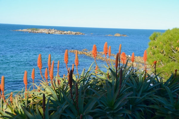 Zdjęcie z Australii - Port Elliot