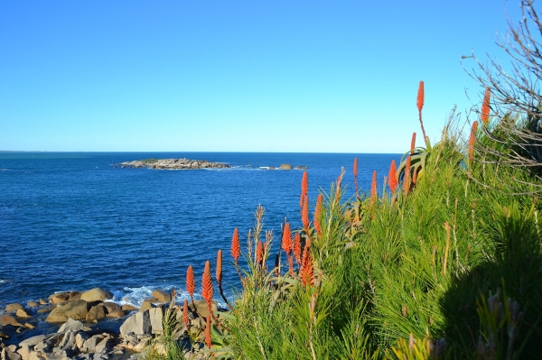 Zdjęcie z Australii - Port Elliot