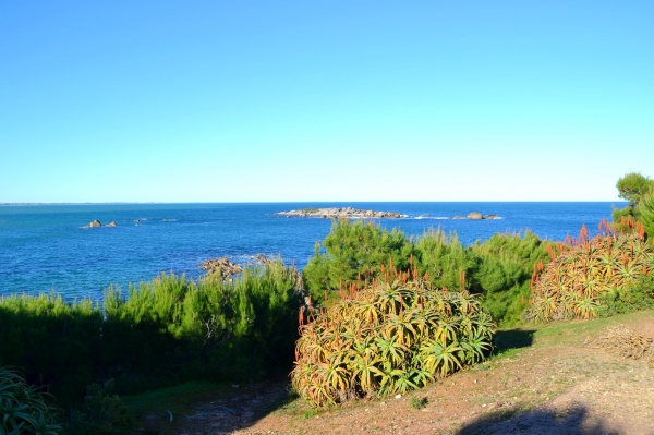 Zdjęcie z Australii - Port Elliot