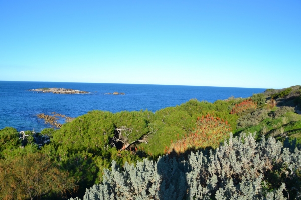 Zdjęcie z Australii - Port Elliot