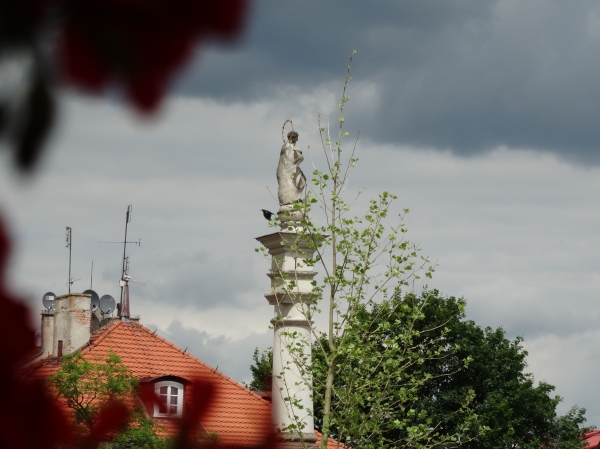 Zdjęcie z Polski - Sandomierz