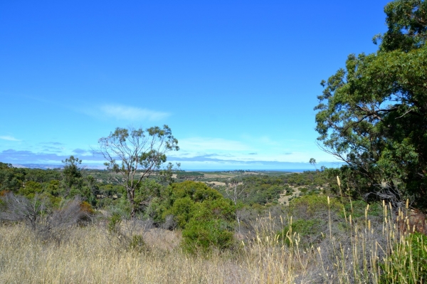 Zdjęcie z Australii - Przed nami Onkaparinga River National Park