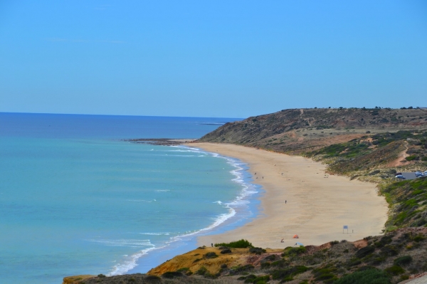 Zdjęcie z Australii - Widok na plaze nudystow Muslin Beach