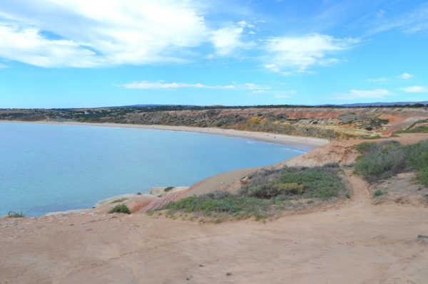 Zdjęcie z Australii - Muslin Beach