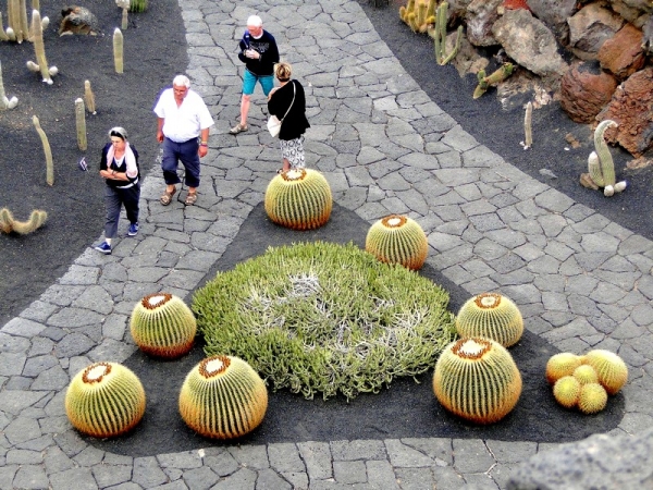 Zdjęcie z Hiszpanii - W kaktusowym ogrodzie - Jardin de Cactus.