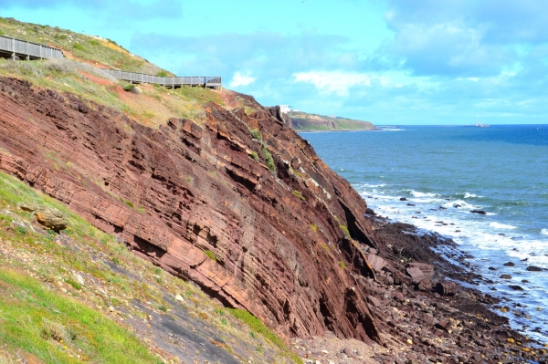 Zdjęcie z Australii - Czarne klify Hallett Cove