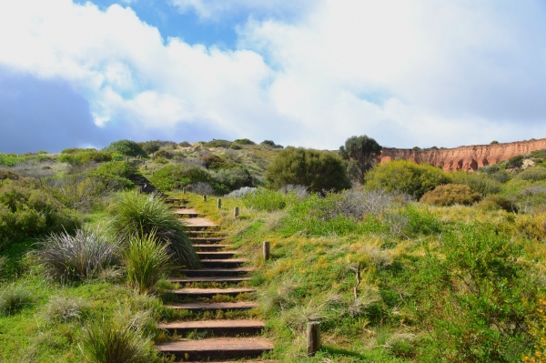 Zdjęcie z Australii - Rezerwat Geologiczny Hallett Cove