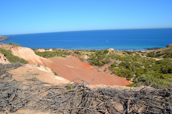 Zdjęcie z Australii - Rezerwat Geologiczny Hallett Cove