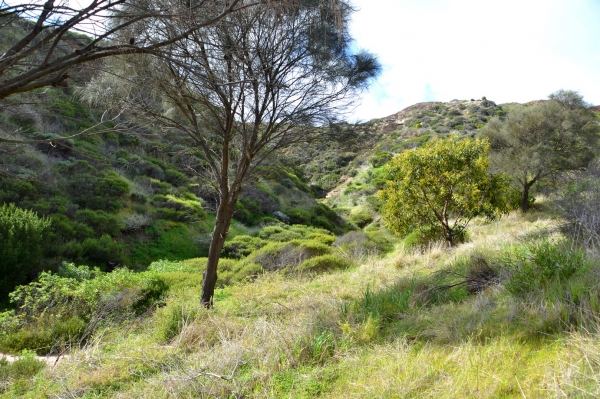 Zdjęcie z Australii - Rezerwat Geologiczny Hallett Cove