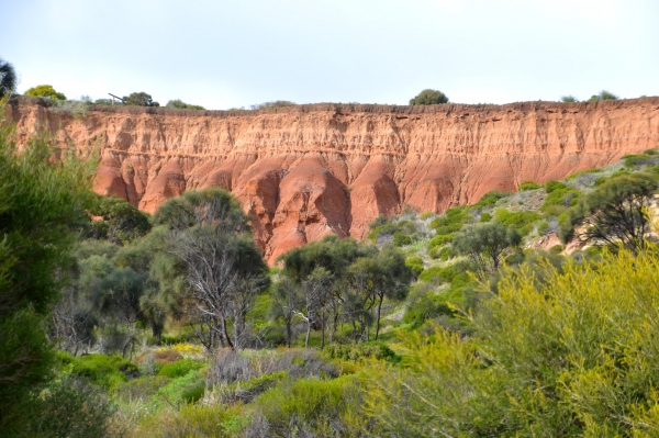 Zdjęcie z Australii - Formacje skalne Hallett Cove