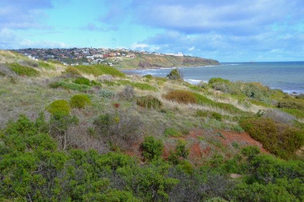 Zdjęcie z Australii - Rezerwat Geologiczny Hallett Cove
