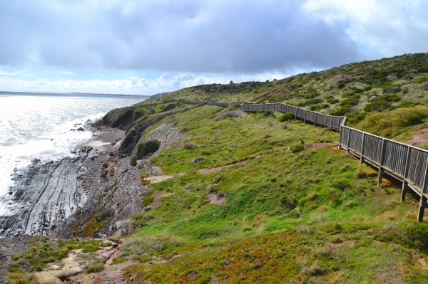 Zdjęcie z Australii - Rezerwat Geologiczny Hallett Cove