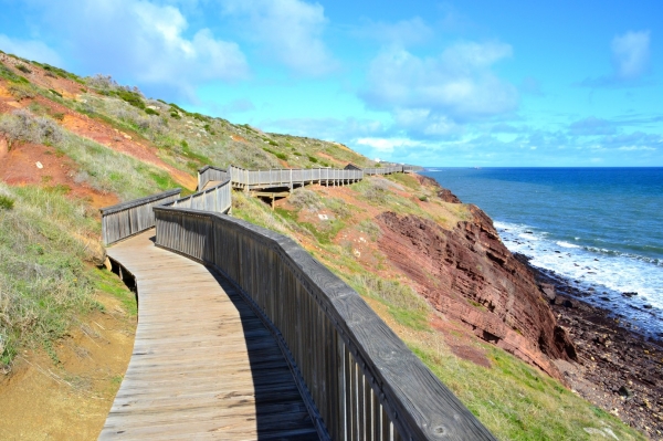 Zdjęcie z Australii - Rezerwat Geologiczny Hallett Cove