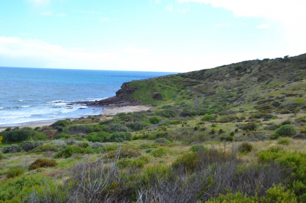 Zdjęcie z Australii - Rezerwat Geologiczny Hallett Cove