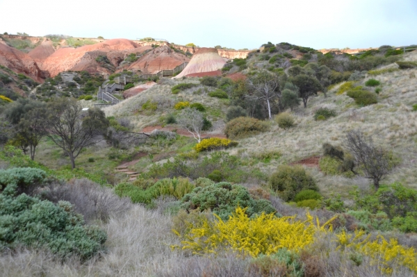 Zdjęcie z Australii - Rezerwat Geologiczny Hallett Cove