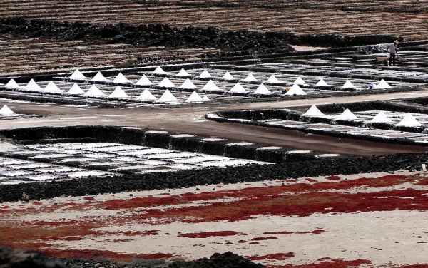 Zdjęcie z Hiszpanii - Poletka solne - Salinas de Janubio.
