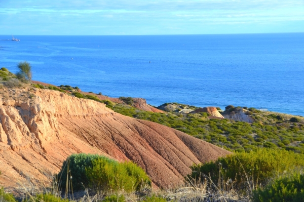 Zdjęcie z Australii - Hallett Cove Conservation Park