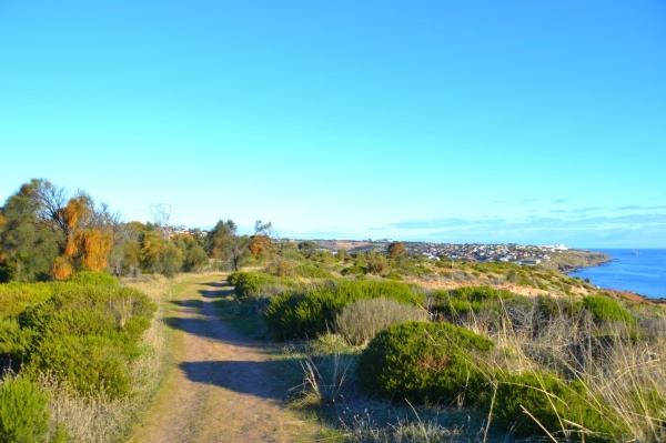 Zdjęcie z Australii - Hallett Cove Conservation Park