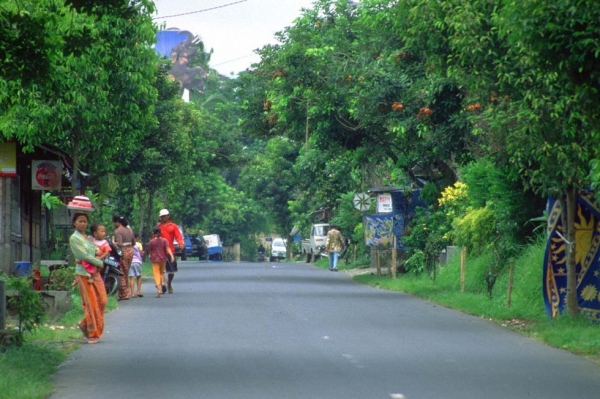 Zdjęcie z Indonezji - w drodze do Ubud