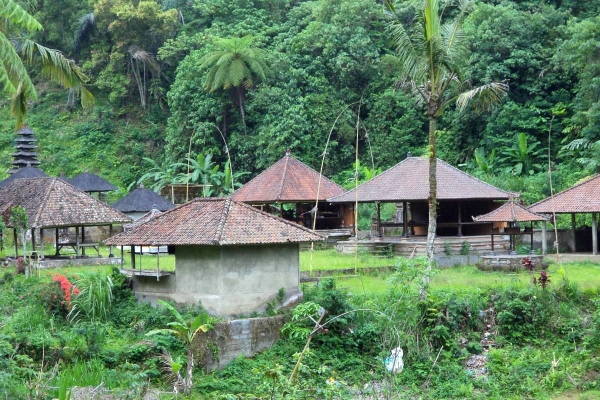 Zdjęcie z Indonezji - w drodze do Ulun Danu