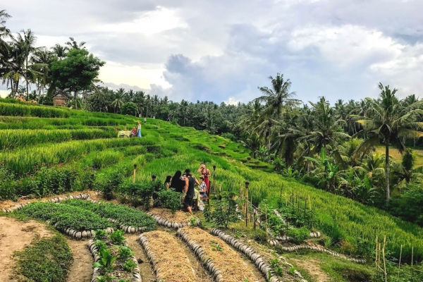 Zdjęcie z Indonezji - w drodze do Ulun Danu