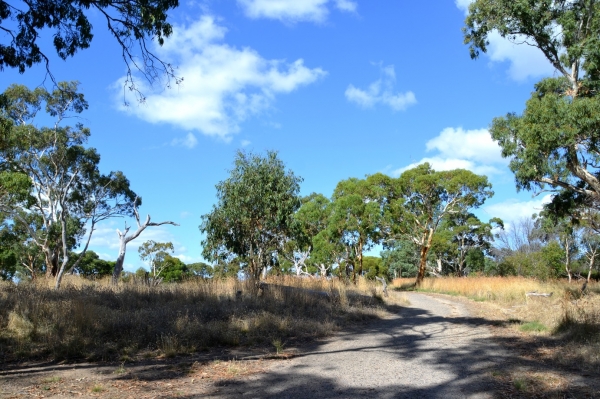 Zdjęcie z Australii - Tangari Regional Park