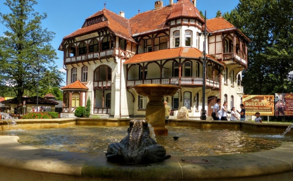 Zdjęcie z Polski - Charlotta