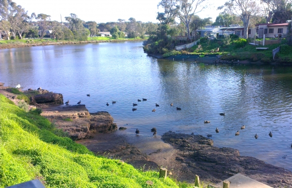 Zdjęcie z Australii - Rzeka Onkaparinga w Old Noarlunga