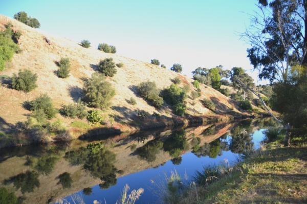 Zdjęcie z Australii - Rzeka Onkaparinga w Old Noarlunga