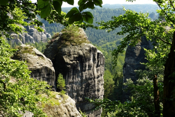 Zdjęcie z Niemiec - piaskowcowe ostańce wśród skał Bastei