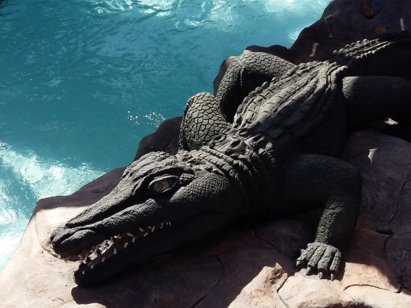 Zdjęcie z Hiszpanii - Siam Park