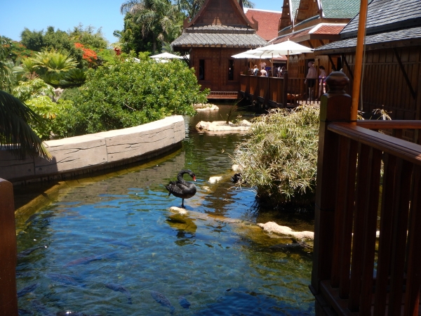 Zdjęcie z Hiszpanii - Siam Park