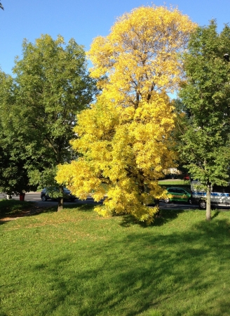 Zdjęcie z Polski - Bielsko-Biała