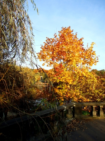 Zdjęcie z Polski - Park Śląski