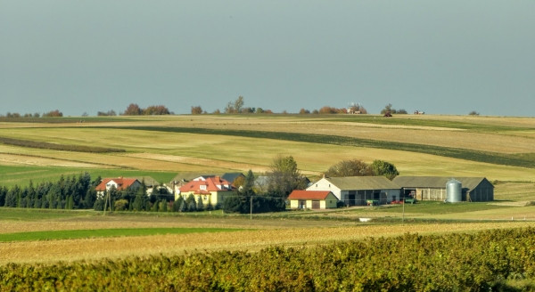 Zdjęcie z Polski - jedziemy na Roztocze....