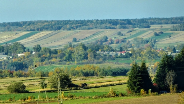 Zdjęcie z Polski - widoczki jeszcze gdzieś na Wyżynę Lubelską