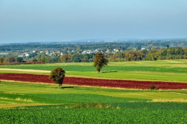 Zdjęcie z Polski - roztoczańskie widoczki z drogi...