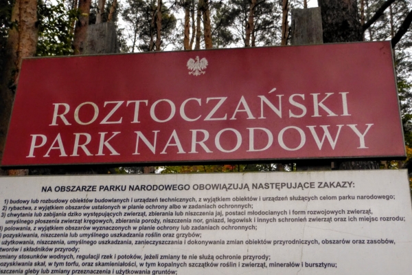 Zdjęcie z Polski - no to teraz nad słynne szumy....