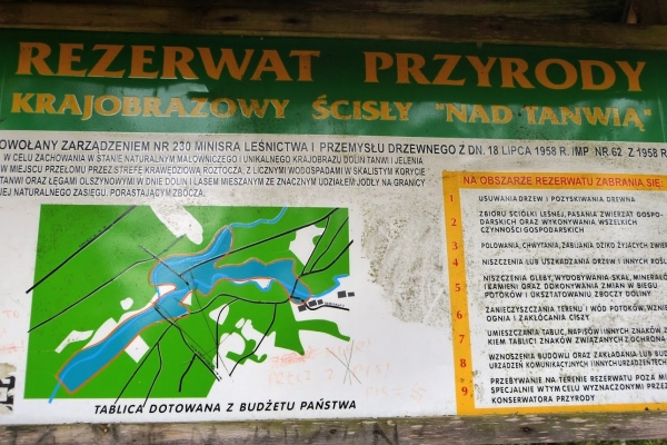 Zdjęcie z Polski - i doszliśmy do szumów nad Tanwią