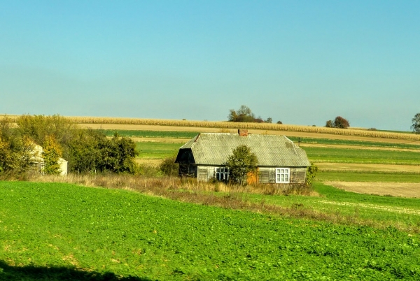 Zdjęcie z Polski - roztoczańskie klimaty...