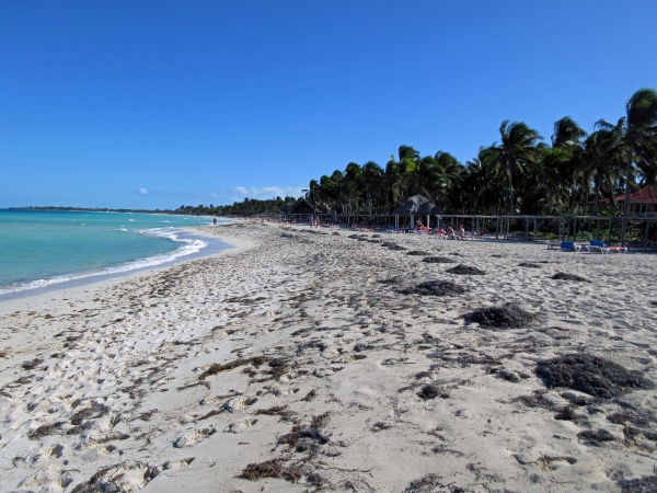 Zdjęcie z Kuby - Plaża na Cayo Coco