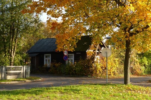 Zdjęcie z Polski - Borek - dzielnica drewnianych domków w Zwierzyńcu