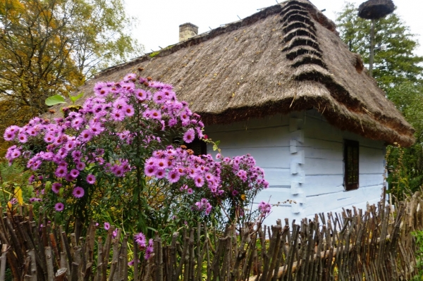 Zdjęcie z Polski - Zagroda Guciów - niewielka, ale urocza  atrakcja