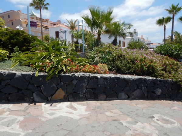 Zdjęcie z Hiszpanii - Puerto de Santiago