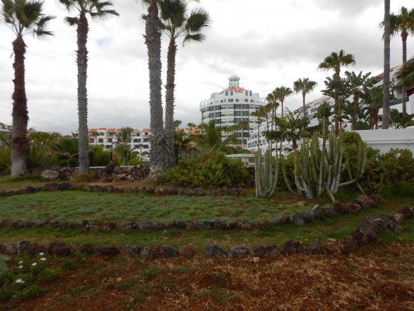Zdjęcie z Hiszpanii - Los Cristianos