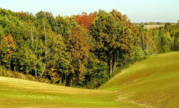 Zdjęcie z Polski - Żegnamy urocze Roztocze....