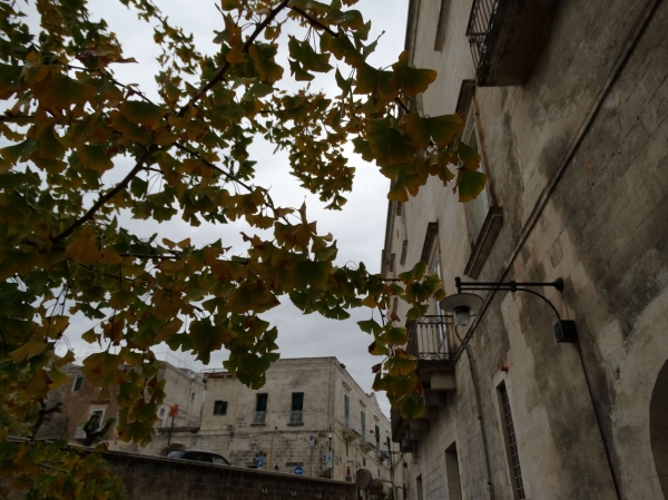 Zdjęcie z Włoch - Matera