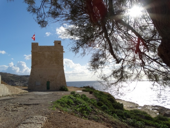 Zdjęcie z Malty - Malta
