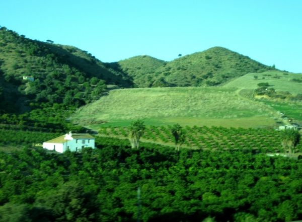 Zdjęcie z Hiszpanii - Andaluzja